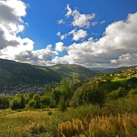 P'tit Montagnard - Vue Panoramique La Bresse/gerardmer
