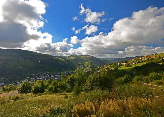 P'tit Montagnard - Vue Panoramique La Bresse/gerardmer