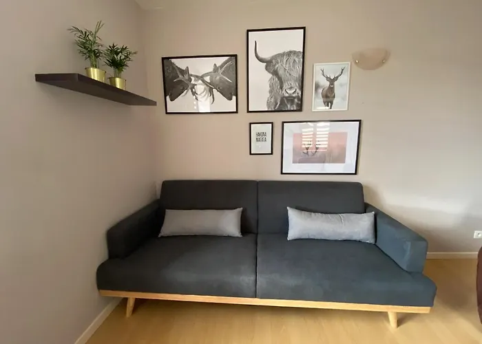 P'tit Montagnard - Vue Panoramique La Bresse/gerardmer La Bresse