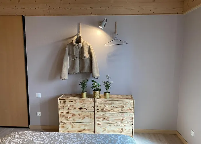 P'tit Montagnard - Vue Panoramique La Bresse/gerardmer