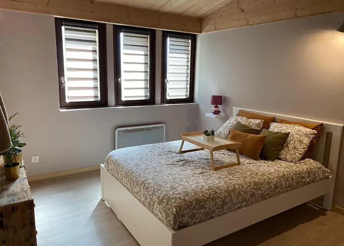 P'tit Montagnard - Vue Panoramique La Bresse/gerardmer * La Bresse