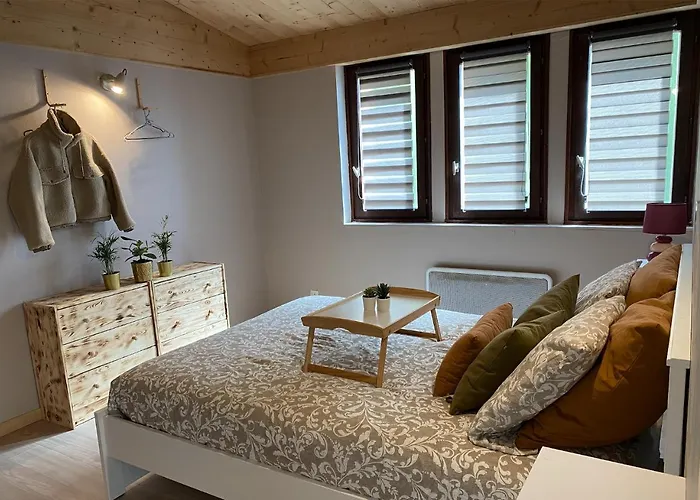 P'tit Montagnard - Vue Panoramique La Bresse/gerardmer * La Bresse