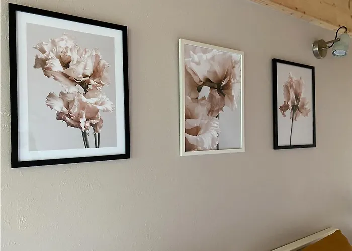 P'tit Montagnard - Vue Panoramique La Bresse/gerardmer Apartment La Bresse