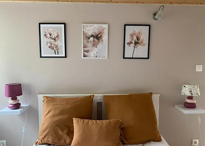 P'tit Montagnard - Vue Panoramique La Bresse/gerardmer Apartment